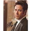 Image 1 : Northern Exposure Rob Morrow signed photo