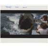 Image 1 : Jaws 2 signed movie photo