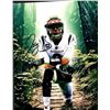 Image 1 : Cincinnati Bengals Joe Burrow facsimile signed photo