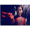 Image 1 : Spider-Man Tobey Maguire facsimile signedphoto