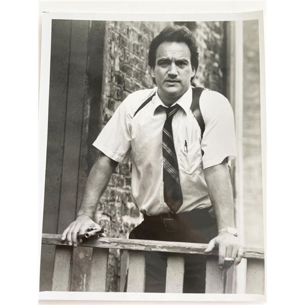 Jim Belushi photo