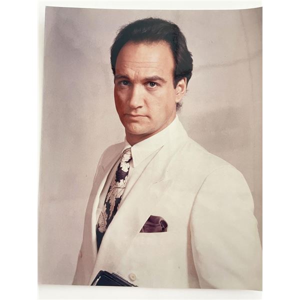 Jim Belushi photo