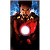 Image 1 : Iron Man Robert Downey Jr. facsimile signed movie photo
