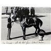 Image 1 : JFK Assassination Arthur Carlson Black Jack Funeral Procession Horse signed photo