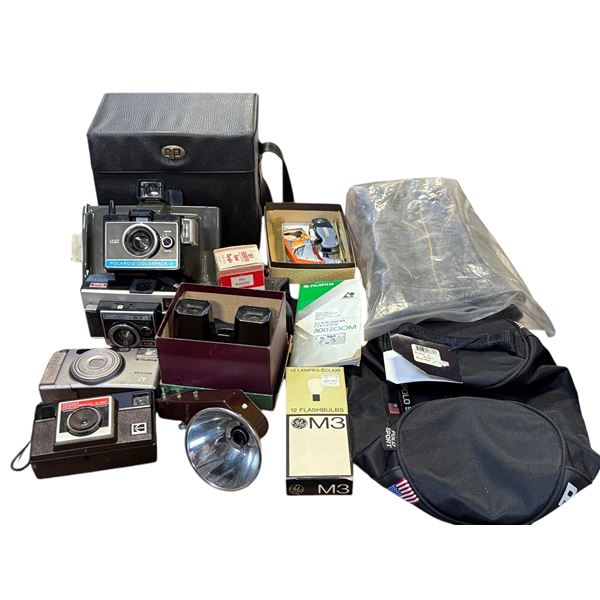 Vintage Camera Collection, Flash Bulbs & Golf Headcovers - includes Kodak Instamatic X-35 & X-15F ca