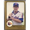 Image 1 : 1988 PROCARDS TIDEWATER TIDES TEAM SET - GREGG JEFFERIES
