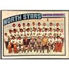 Image 1 : 1976-77 NHL O-PEE-CHEE MINNESOTA NORTH STARS