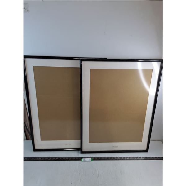 * (2) Wood-Framed "La Senza" Wall Decor - No Pictures - 22" x 30" - Pickup Only