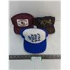 Image 1 : (3) Adult Size Ball Caps