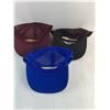 Image 2 : (3) Adult Size Ball Caps