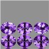 Natural Purple Sapphire 6 Pcs {Flawless-VVS}