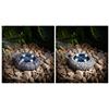 Image 1 : Solar Rock Light 4-Pack with LED and Solar Power Features