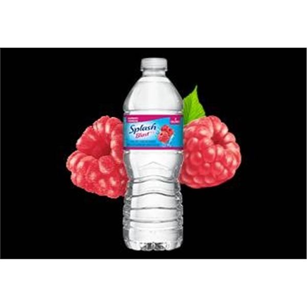 Splash Blast Flavoured Water Beverage, Raspberry, 16 Bottles, 500 mL Each