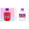 Image 1 : Chubby Soft Drink Lot – Bubble Gum and Cream Soda – 24 x 250ml Each Flavour