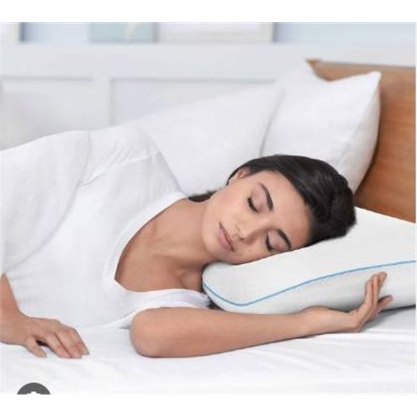Novaform Soothing Cool Plus Queen Size Foam Pillow