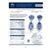 Image 4 : 12.28 ctw Tanzanite and 1.43 ctw Diamond Platinum Earrings