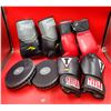 Image 1 : 3 Pairs of Boxing Gloves & 1 Pair of Focus Pads (Everlast, Century, etc.)