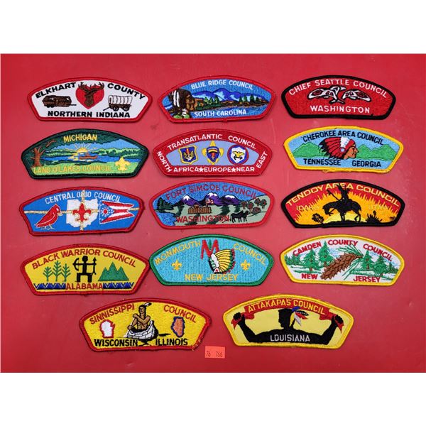 Lot of Indigenous Council Patches