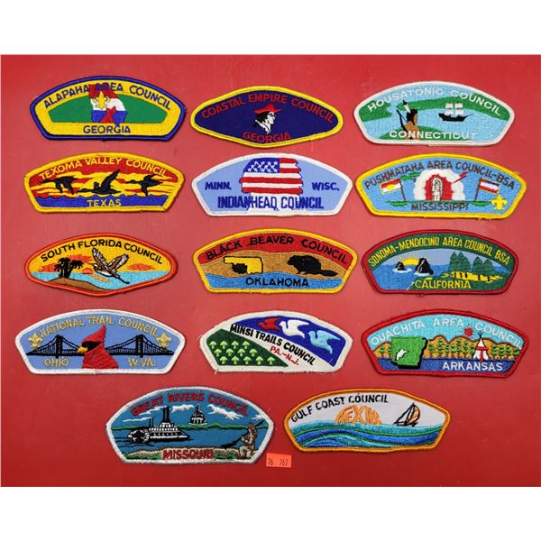 Lot of Indigenous Council Patches