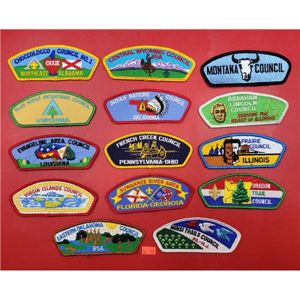 Lot of Indigenous Council Patches