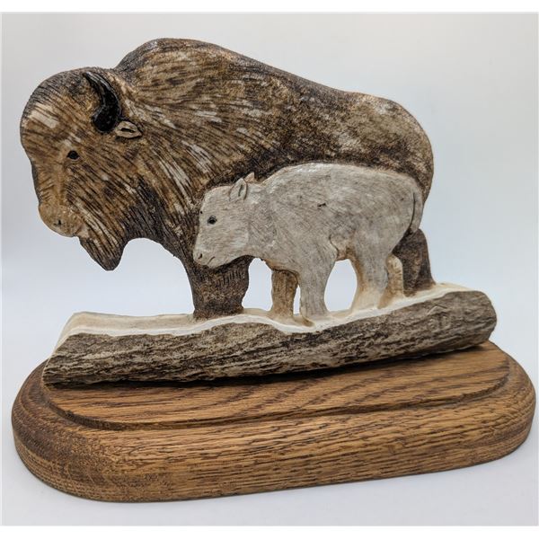 Buffalo in Horn