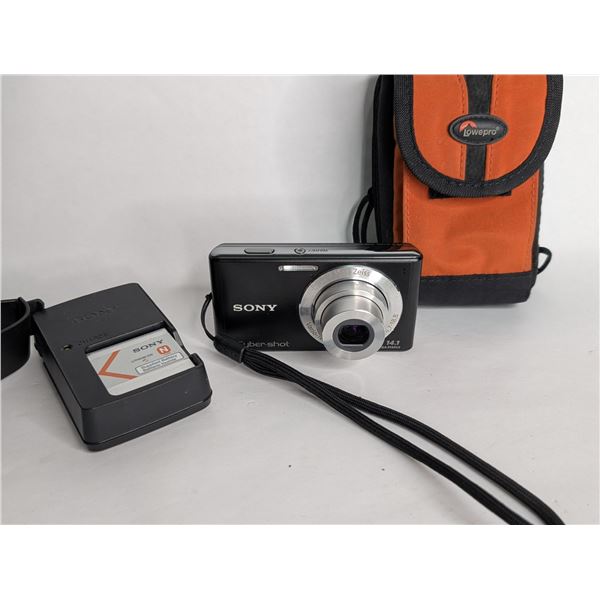 Sony Cybershot 14.1 Mega Pixels works well