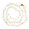 Image 3 : 18" Classic 7-7.5mm White Pearl Strand Necklace w/ 14k Gold Grooved Ball Clasp