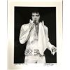 Image 1 : Elvis stoned in his Prime by Richard Upper