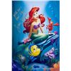 Image 1 : The Little Mermaid Jodi Benson facsimile signed  movie photo