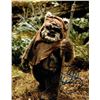 Image 1 : Star Wars Warwick Davis facsimile signed photo