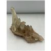 Image 4 : 4.2 inch Natural Citrine Cluster
