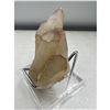 Image 3 : 3.7 INCH NATURAL CITRINE WITH POINTS