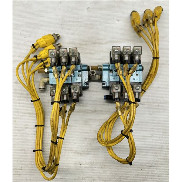 (2) Mac #45A-NAC-DDAJ-1KD Valve Units