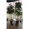 Image 1 : PAIR OF DECORATIVE ARTIFICIAL TREES & BLACK METAL/GLASS TOP SIDE TABLE