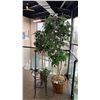 Image 3 : PAIR OF DECORATIVE ARTIFICIAL TREES & BLACK METAL/GLASS TOP SIDE TABLE