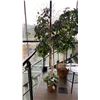 Image 4 : PAIR OF DECORATIVE ARTIFICIAL TREES & BLACK METAL/GLASS TOP SIDE TABLE