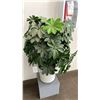 Image 2 : ARTIFICIAL DECORATIVE PLANT IN POT & TREE