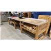 Image 5 : OMGA RN700 FM 14" RADIAL ARM SAW WITH WORK TABLE