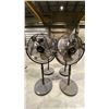 Image 3 : GROUP OF 4 BLACK/STAINLESS STEEL 20" FLOOR FANS