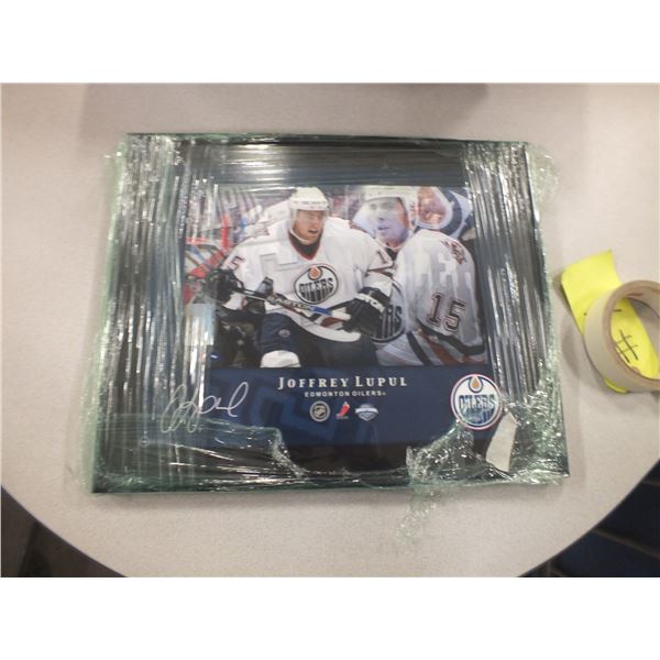 Signed Joffrey Lupul Edmonton Oilers Picture