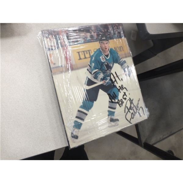 Two San Jose Sharks Pat Falloon Hockey Pictures