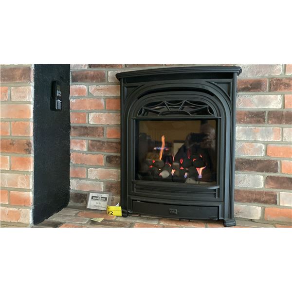 VALOR 530INI, 530LSK, 545CFV, 536CXBI FIREPLACE INSERT