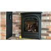 Image 1 : VALOR 530INI, 530LSK, 545CFV, 536CXBI FIREPLACE INSERT