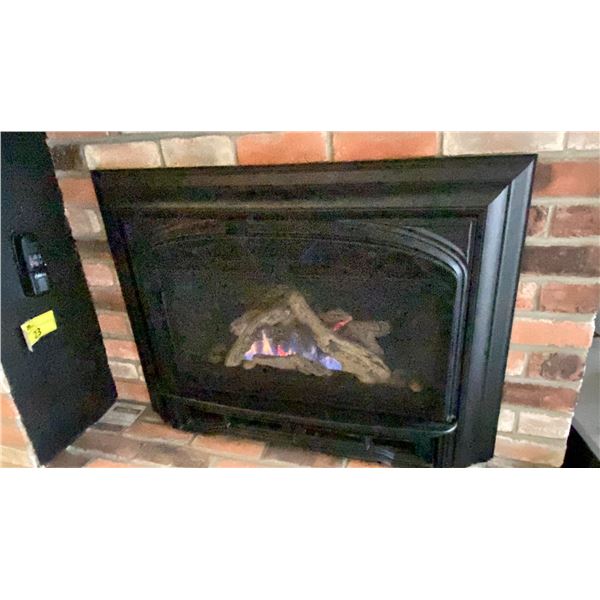 VALOR G3 FIREPLACE INSERT