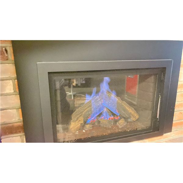KOZY HEAT NORDIK 29 FIREPLACE INSERT