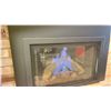 Image 1 : KOZY HEAT NORDIK 29 FIREPLACE INSERT