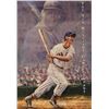 Image 1 : Ted Williams poster