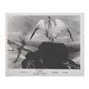 Image 6 : A Collection of "Rodan" Publicity Photos.