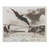 Image 7 : A Collection of "Rodan" Publicity Photos.