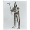 Image 7 : A Collection of "The Wizard of Oz" Publicity Photos.